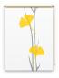 Preview: Rollo Ginkgo grey-yellow  , Motivrollo, Rollo mit Druck, Fotorollo, bedrucktes Rollo, Fensterrollo,verdunkelndes Rollo, Sonnenschutz Rollo